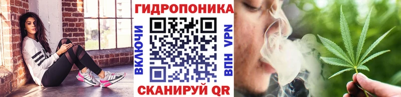 МЕГА как войти  Спасск  Шишки марихуана White Widow 